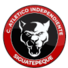 独立CA